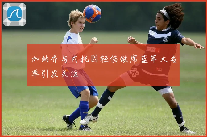 加纳乔与内托因轻伤缺席蓝军大名单引发关注