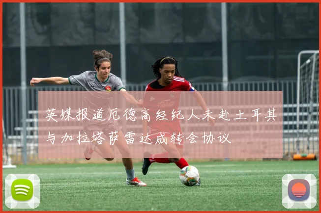 英媒报道厄德高经纪人未赴土耳其与加拉塔萨雷达成转会协议